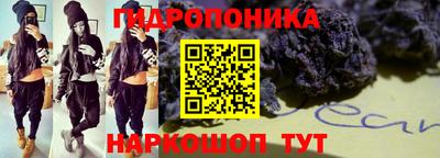 крисы Севастополь