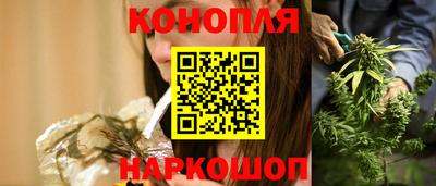 крисы Севастополь